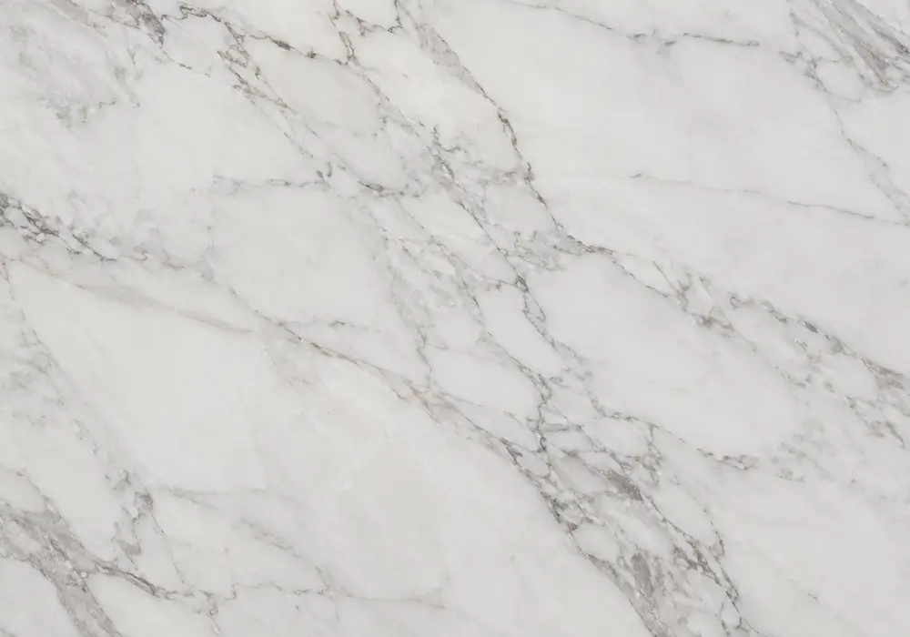 Agaria White marble reception wall with milky white and pale-grey stone featuring subtle natural veining.
