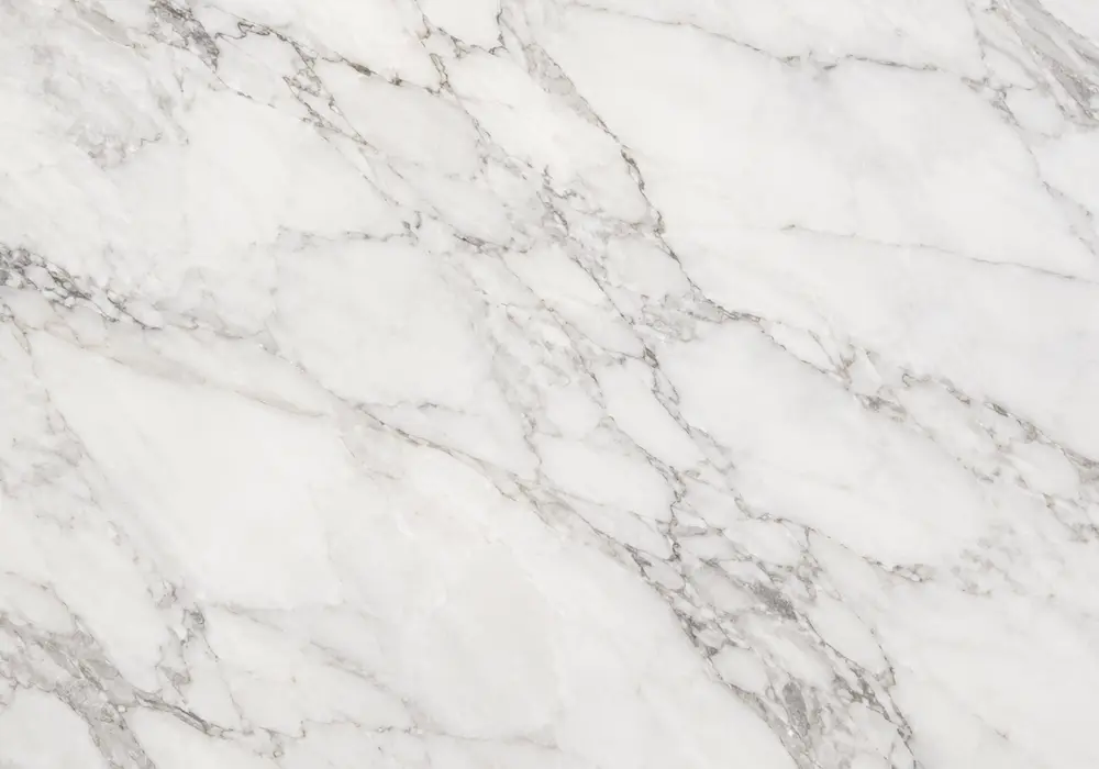 Makrana marble types in an Indian heritage foyer, showing natural veining, polished depth and refined architectural detail.