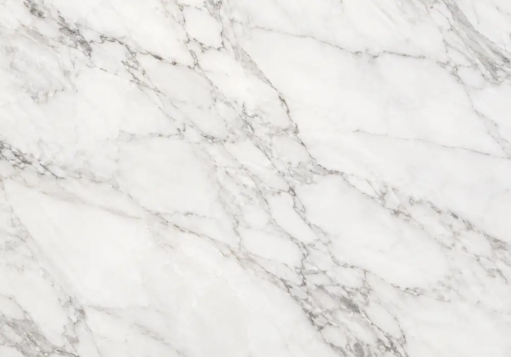 Polished red and cream stone for Alicante marble price, featuring webbed veining, fossil details, with smooth luminous depth.