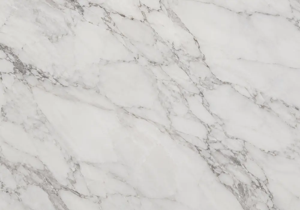 Arabescato Corchia marble price slab: grey and white, sweeping ribbons and branching veins, with refined crystalline detail.