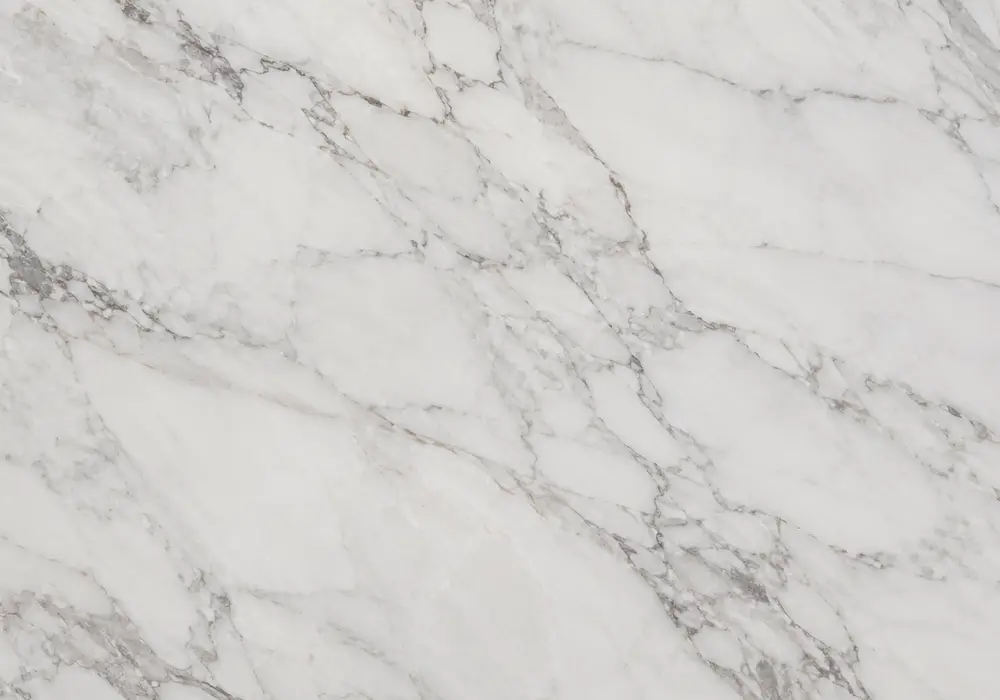 Arabescato Orobico Marble slabs displayed in a premium material gallery with elegant wall applications and finish samples