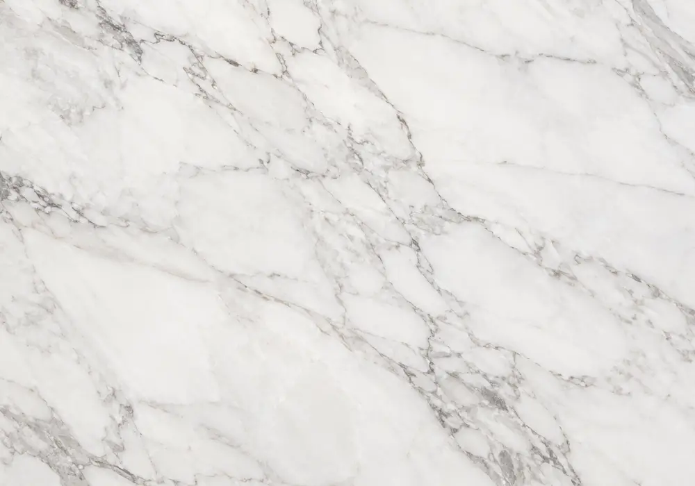 Arabiscato marble bookmatched luxury wall with bright white stone and expressive branching grey veining