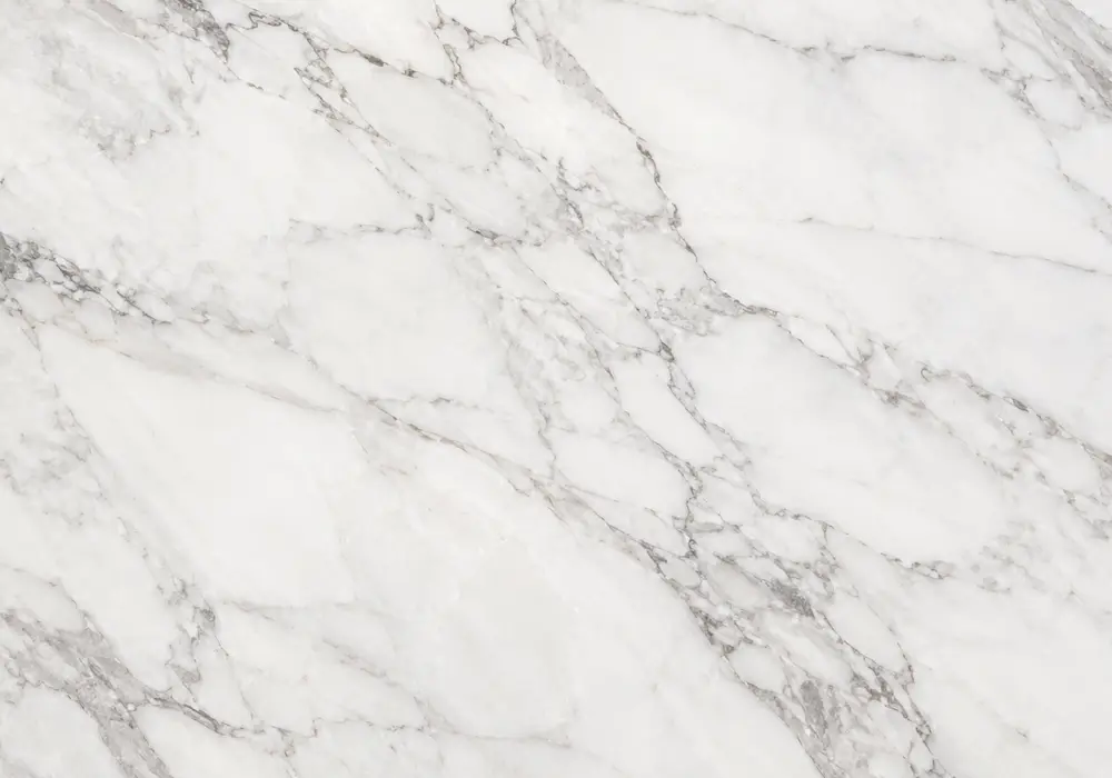 Ariston White Marble architectural wall panel in a refined showroom with natural slabs and coordinated surfaces