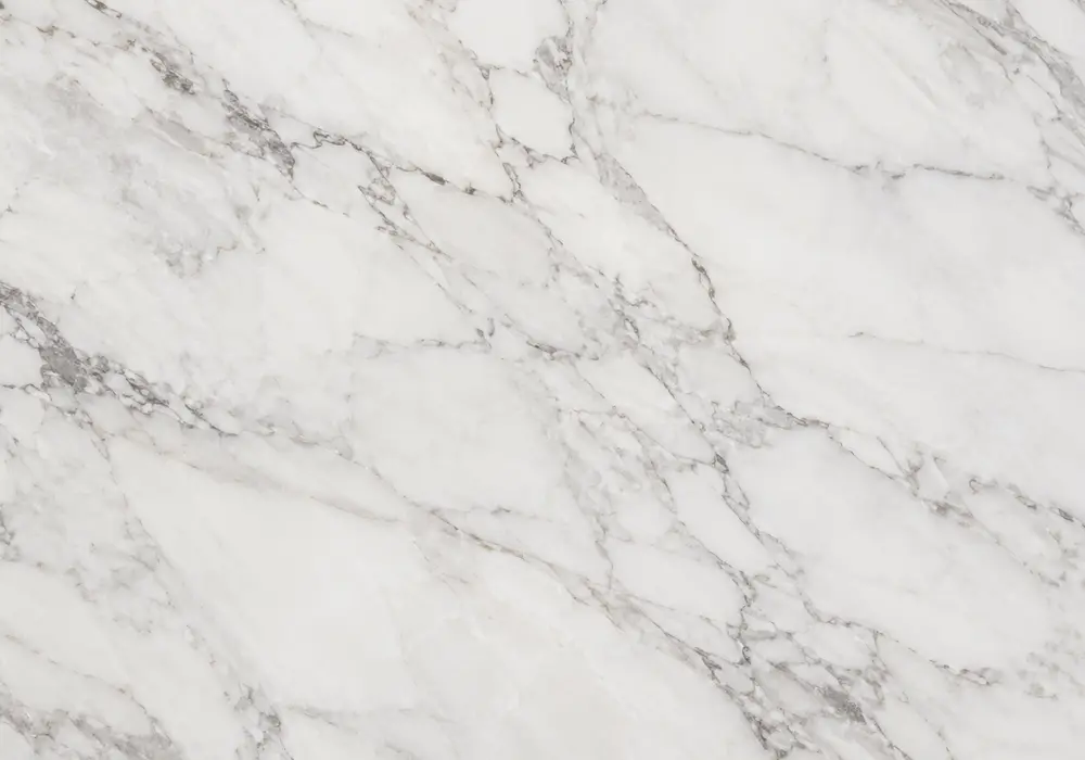 Avorio vs botticino comparison with polished countertop, wall panel, honed floor, vanity and varied ivory undertone slabs