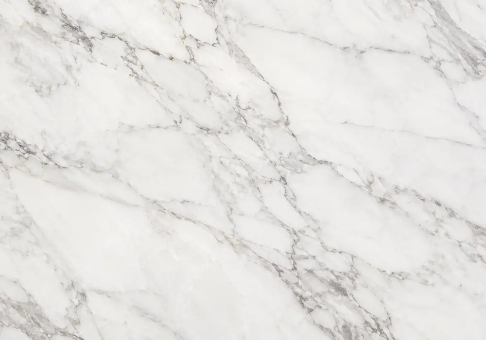 bardiglio carrara in a sophisticated bathroom, showing natural veining, polished depth and refined architectural detail.