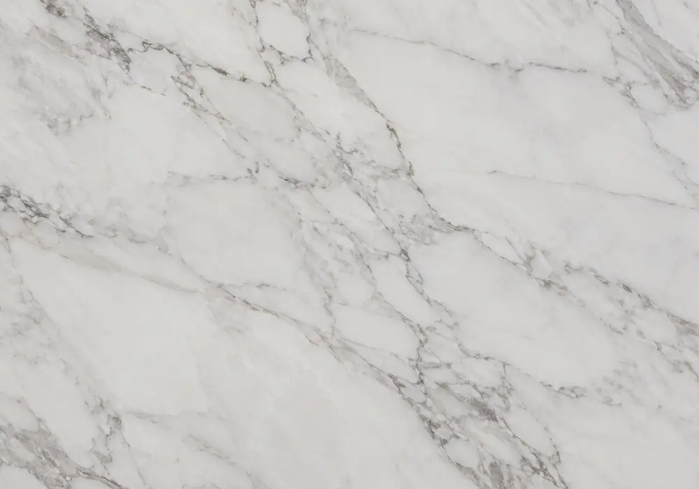 Bardiglio Marble slab gallery presentation with full natural panels and refined showroom lighting