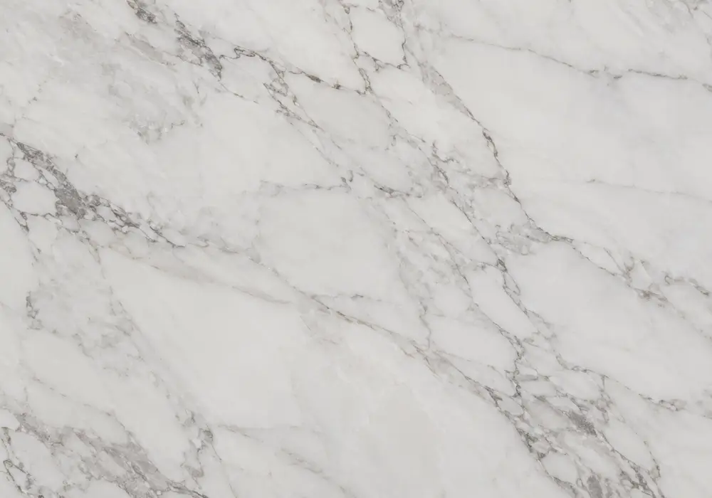 bardiglio trambiserra in a sophisticated bathroom, showing natural veining, polished depth and refined architectural detail.