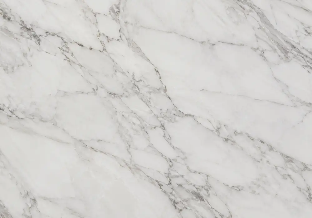 beige brown marble types visual of brown and beige stone shaped by webbed veining and flowing waves, plus fine mineral depth.