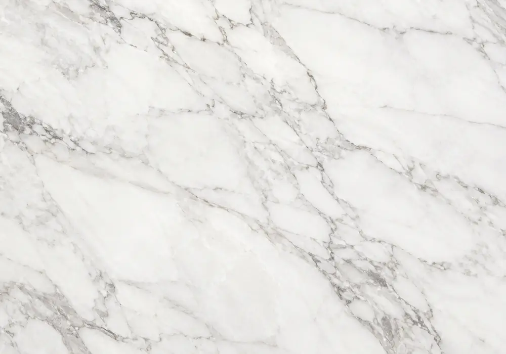 Beige Marble reception feature wall displayed in a luxury architectural gallery with full stone slabs