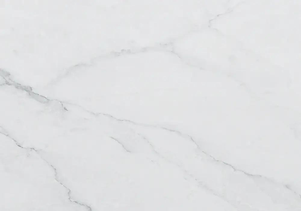 Bianco Dolomite bathroom with polished vanity and wall slabs, honed shower floor and delicate silver-grey crystal veining.