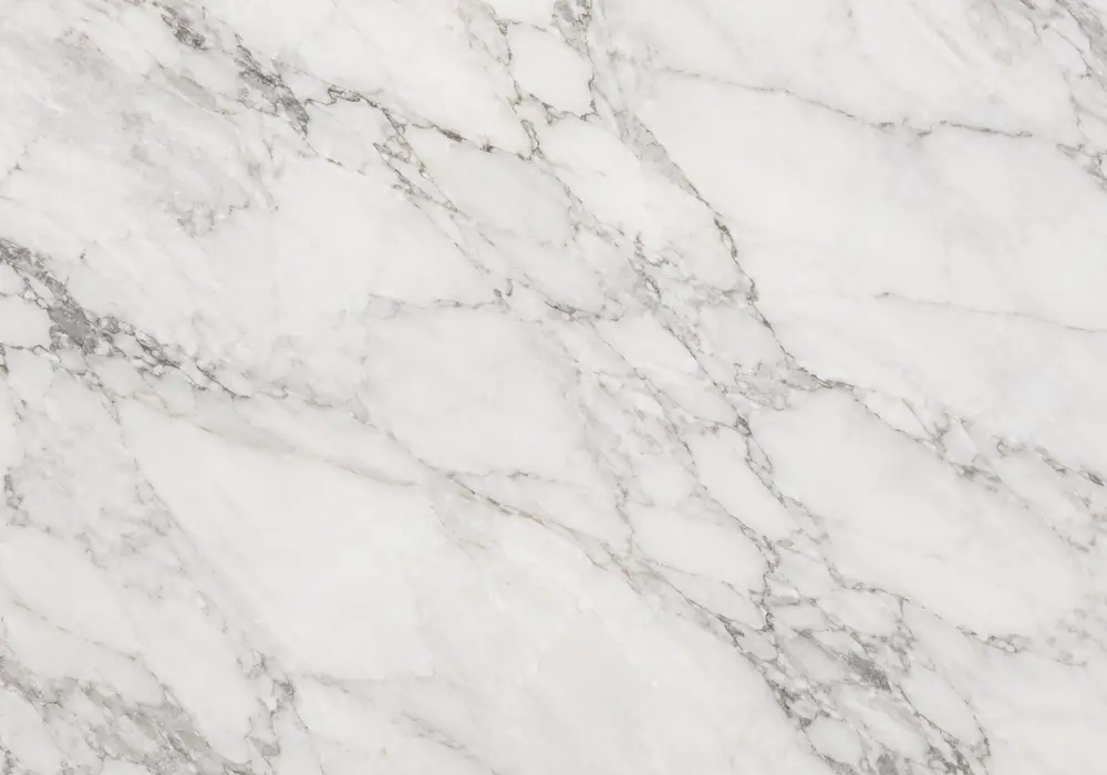 Bold monochrome ribbons and calcite fractures define this slab, creating a dramatic black-and-white marble design statement.