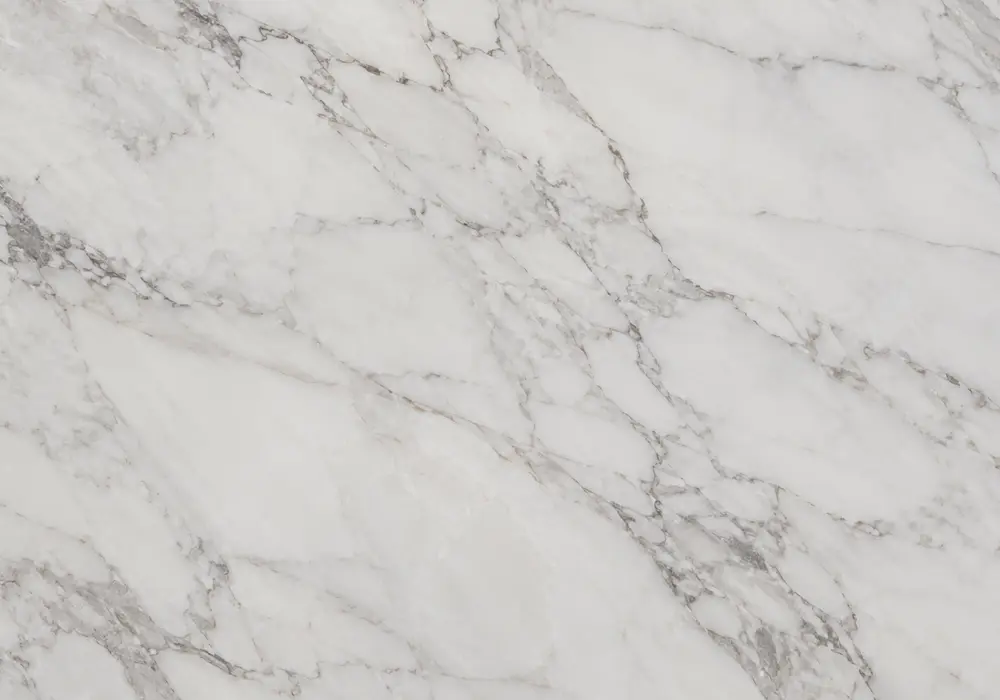 Black Forest marble bookmatched feature wall with graphite-black stone and dramatic white-grey wood-grain movement.