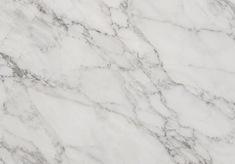 black linear marble slabs with branch and wood-grain movement shown polished, honed and leathered for wall and floor use