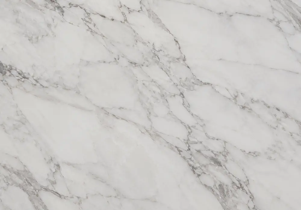 Zebra Black marble used in a hotel corridor, with natural veining, realistic stone depth and refined architectural detail.