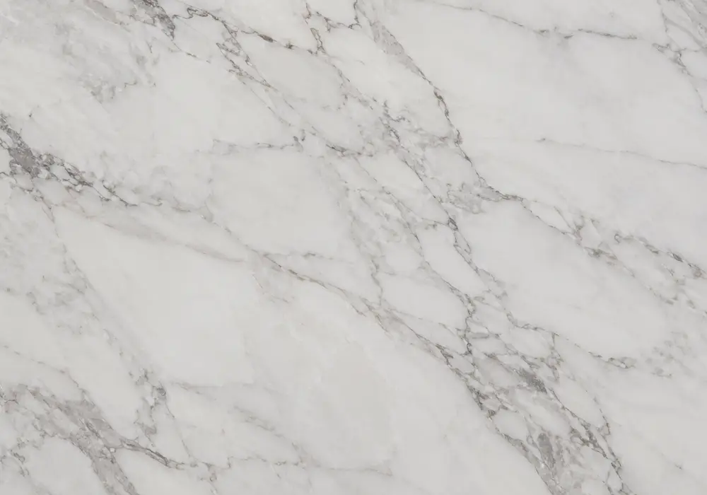 Black Gold marble bookmatched reception feature with deep black stone and dramatic gold, cream and bronze veining.