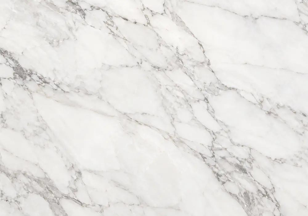 Black Star marble bookmatched wall panel with deep black stone and contrasting grey and white veining.