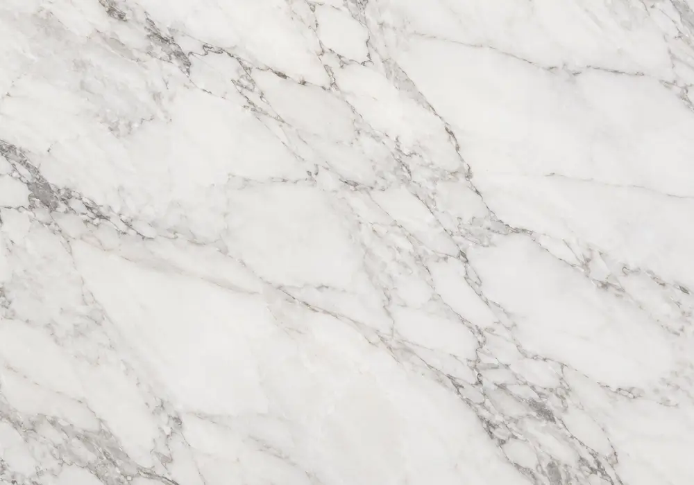 Black Star stone on polished kitchen countertop and reception desk with sparse white-grey streaks across generous dark areas.