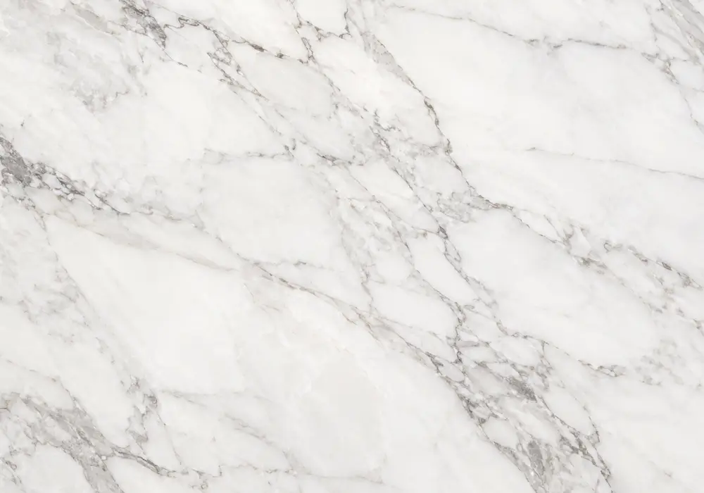 A full-slab view for Toros black marble, revealing black and gold, calcite markings and fine pores, plus fine mineral depth.