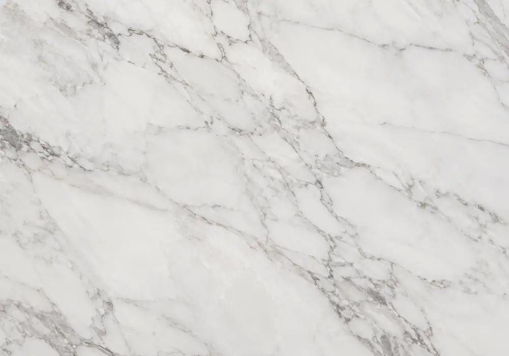 Black White marble bookmatched feature wall with bold monochrome veining and high-contrast black-and-white movement.