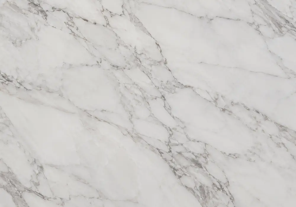 Detailed black white marble price slab with black and white, branching veins and flowing waves, with authentic stone texture.