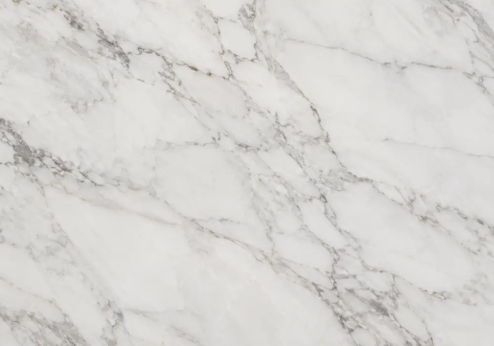 Detailed Bottochino marble price slab with cream and beige, fossil details and calcite markings, across the polished surface.