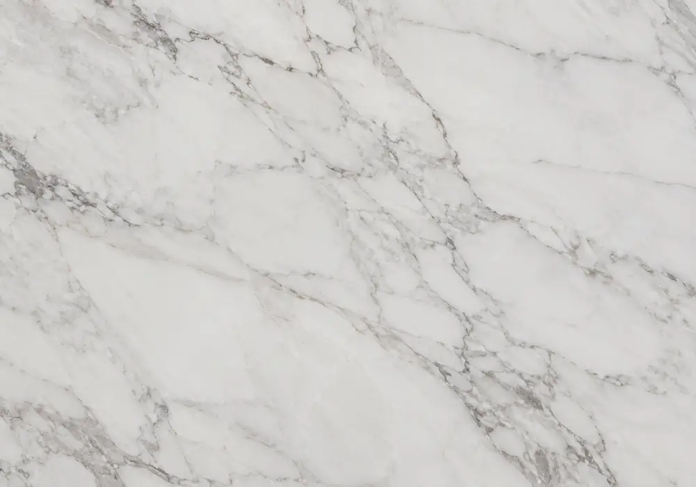 Breccia Marble bookmatched wall panel in a refined showroom with aligned veining and premium natural slabs