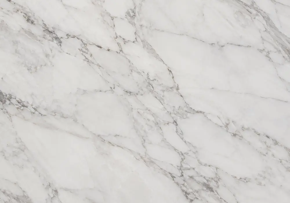 Explore breccia sarda marble price in a warm hazelnut slab with cream fields, brown veins, fossils and fragmented breccia.