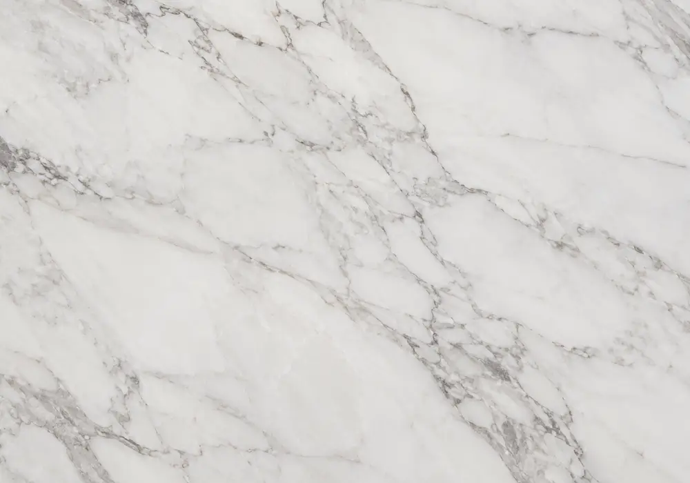 Bulgari White marble showcased in a luxury dining room, showing natural mineral detail and refined architectural character.