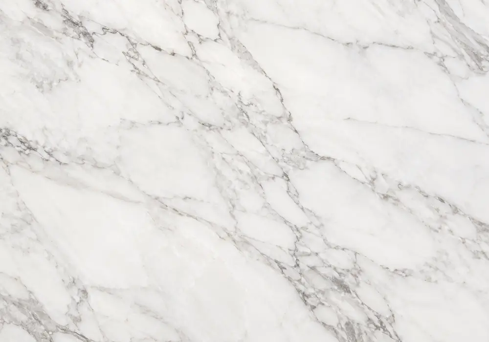 View Calacatta Monet marble price: white and grey stone with branching veins and natural veining, with smooth luminous depth.