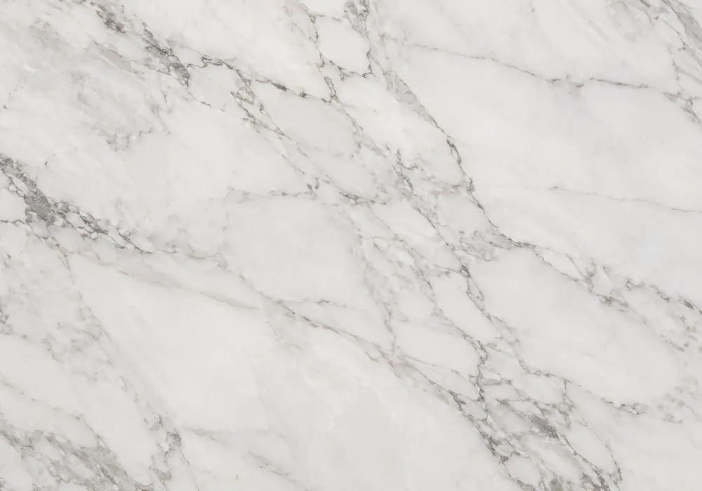 Calacatta White Marble reception feature wall displayed in a luxury architectural gallery with full stone slabs