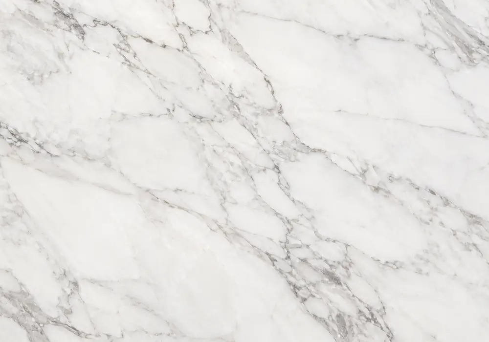 Cappuccino Marble polished and honed showroom display with full slabs, finish samples and refined applications