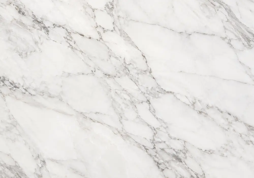 View Breccia Capraia marble: grey and burgundy stone with branching veins and natural veining, with authentic stone texture.