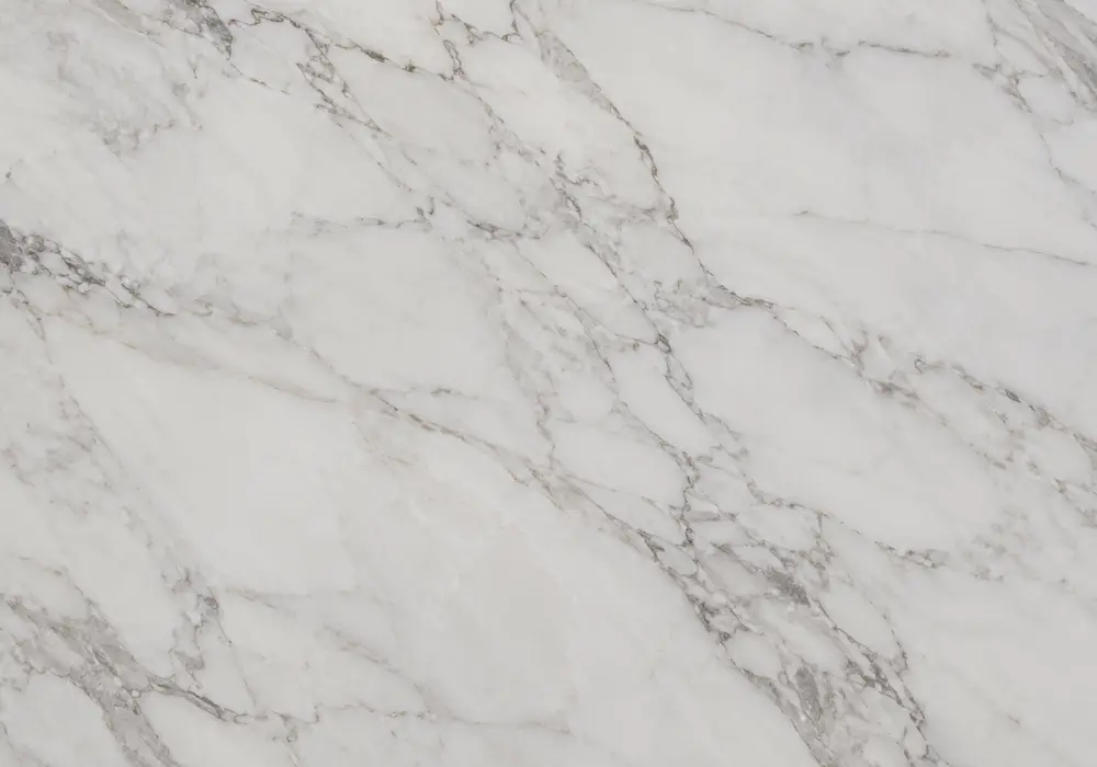 Chocolate marble price in polished brown and cream stone with webbed veining and branching veins, with smooth luminous depth.