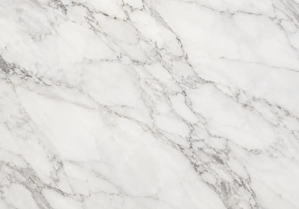 Coffee Wood marble price slab featuring brown and cream, fossil details and natural veining, for a richly dimensional finish.