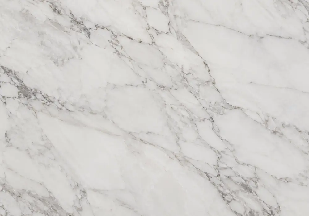 Polished beige and cream stone for Crema d'Orcia marble price, featuring fossil details, fine pores, plus fine mineral depth.
