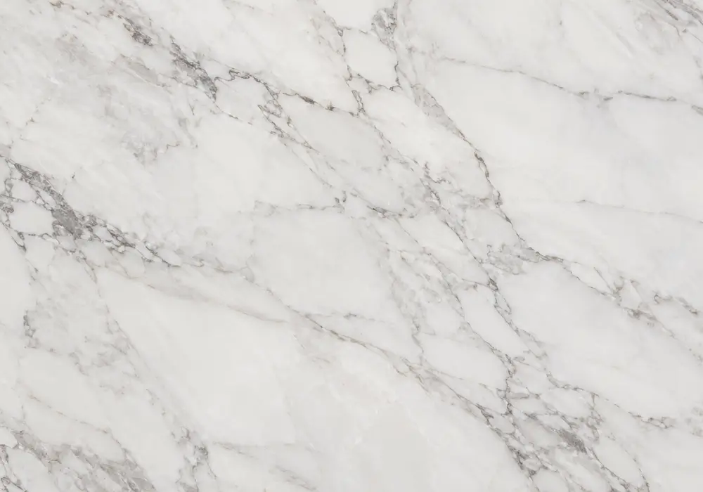 Crema Marble reception feature wall with large natural slabs in a contemporary stone showroom