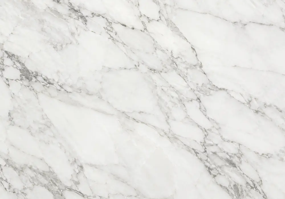 Detailed dark brown marble types slab with brown and cream, webbed veining and branching veins, and natural tonal variation.
