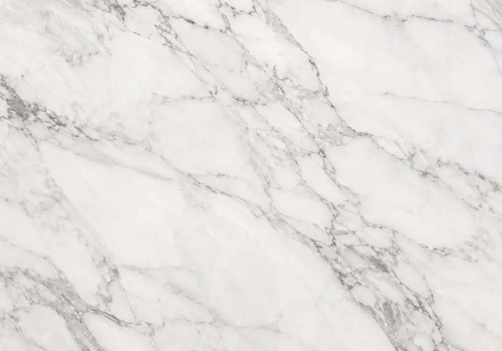 Espresso Dark Emperador Marble glows with cream calcite webs and fossils, showing rich Spanish Dark Emperador character.