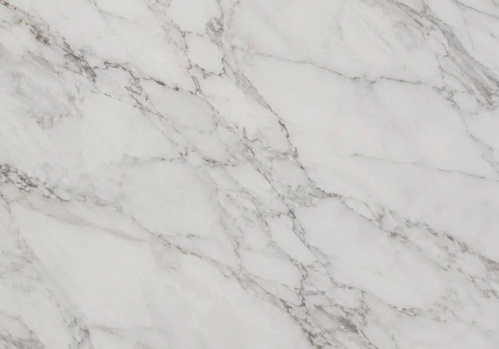 smoky near-black marble featured in a corporate reception, with realistic stone depth and refined architectural detailing.