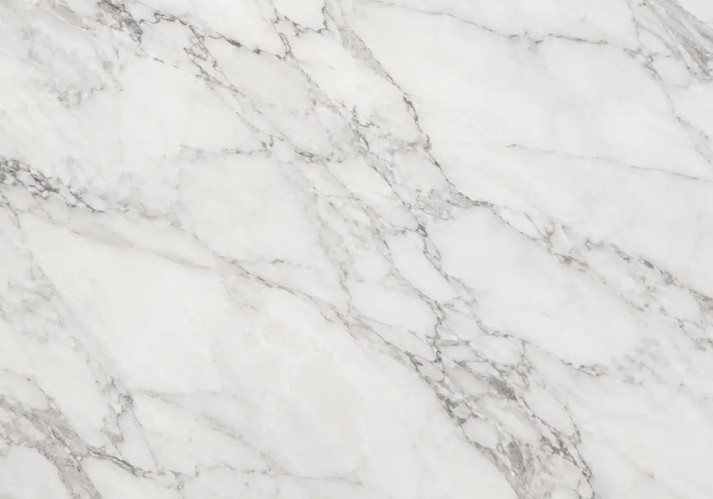 Diana Royal Marble reception feature wall displayed in a luxury architectural gallery with full stone slabs