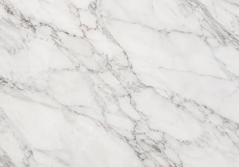 Fendi White marble Namibia slab featuring white and grey, branching veins and natural veining, with realistic polished depth.