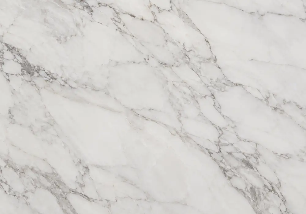 Floral marble wall concept with carved floral relief, custom mosaic, polished vanity and contrasting plain and petal slabs