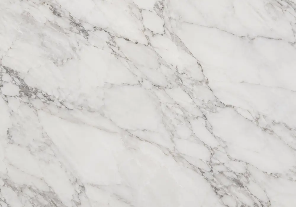 marble floral medallion in a grand entrance hall medallion, showing natural stone texture and refined architectural detail.