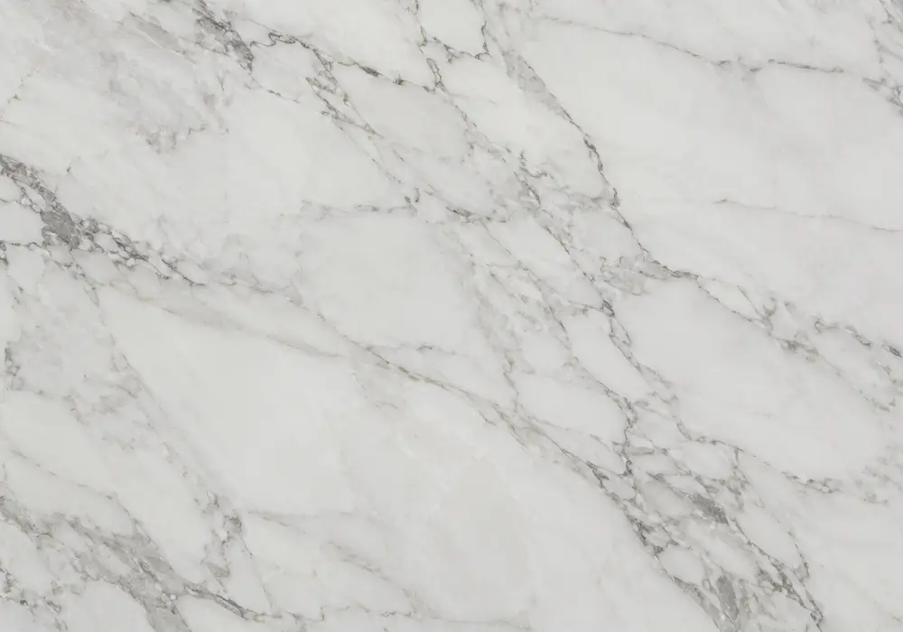 Forest Brown marble price reference for a dramatic lounge, showing natural stone texture and refined architectural detail.
