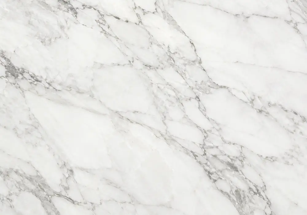 Rainforest Brown marble visual of brown and beige stone shaped by branching veins and soft swirls, across a luminous surface.