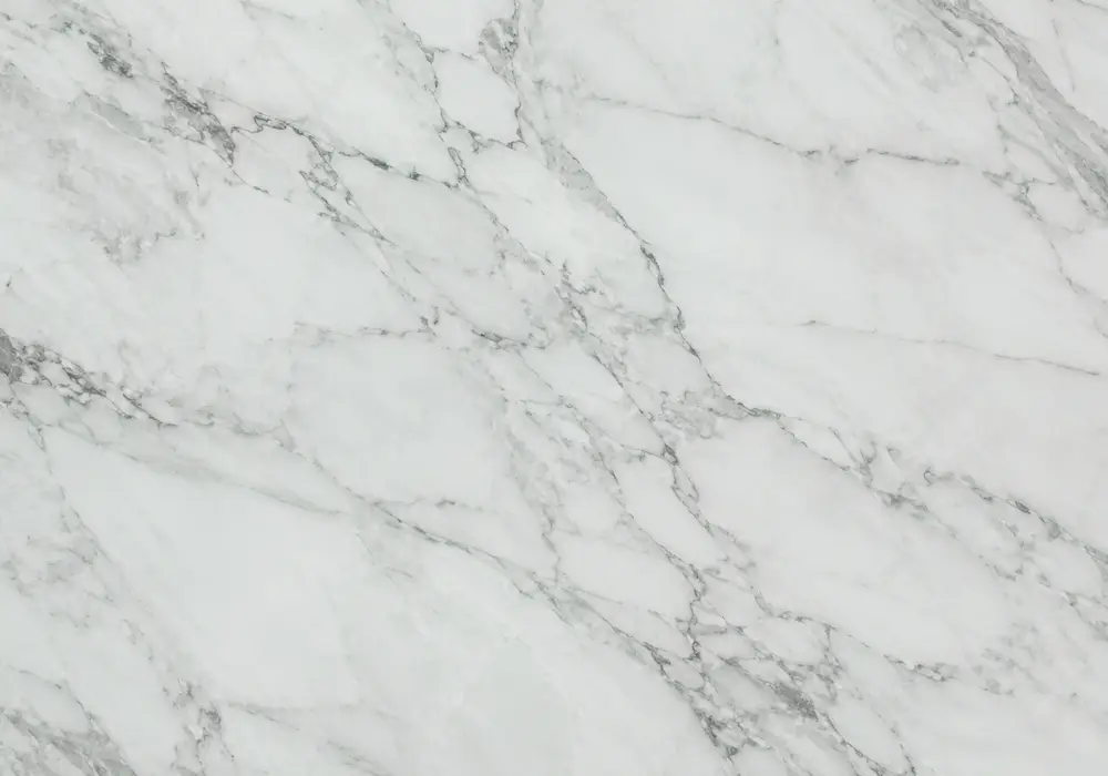 Root-like pale veins cross deep emerald Forest Green Marble, revealing the mineral character of Indian Forest Green stone.