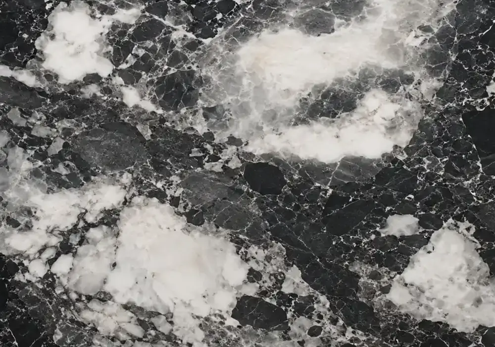 French black white marble in a luxury foyer, with authentic veining, polished stone depth and refined architectural detail.