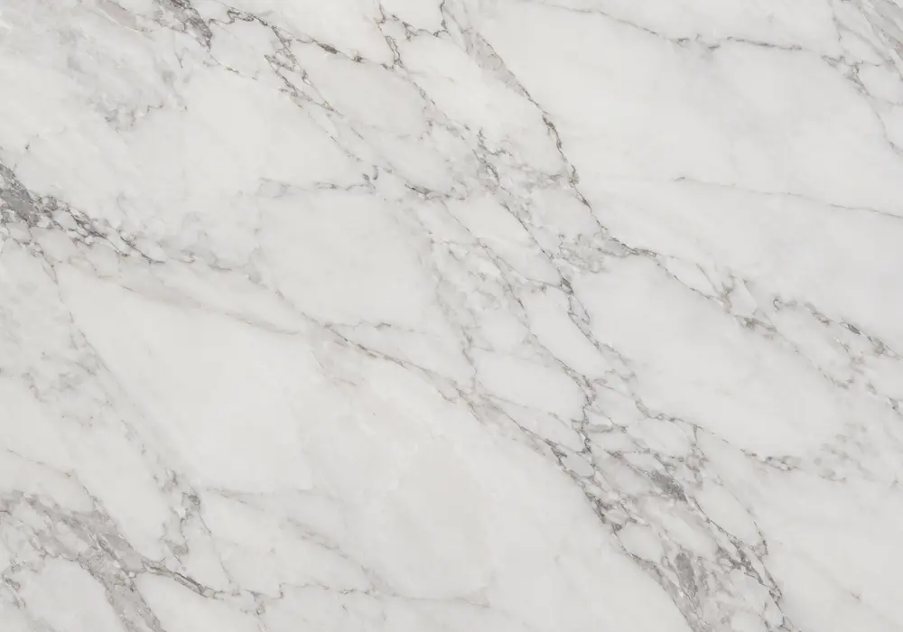 Silver threads, cloudy mineral shifts and fine fissures animate this light grey natural stone with balanced mineral depth.