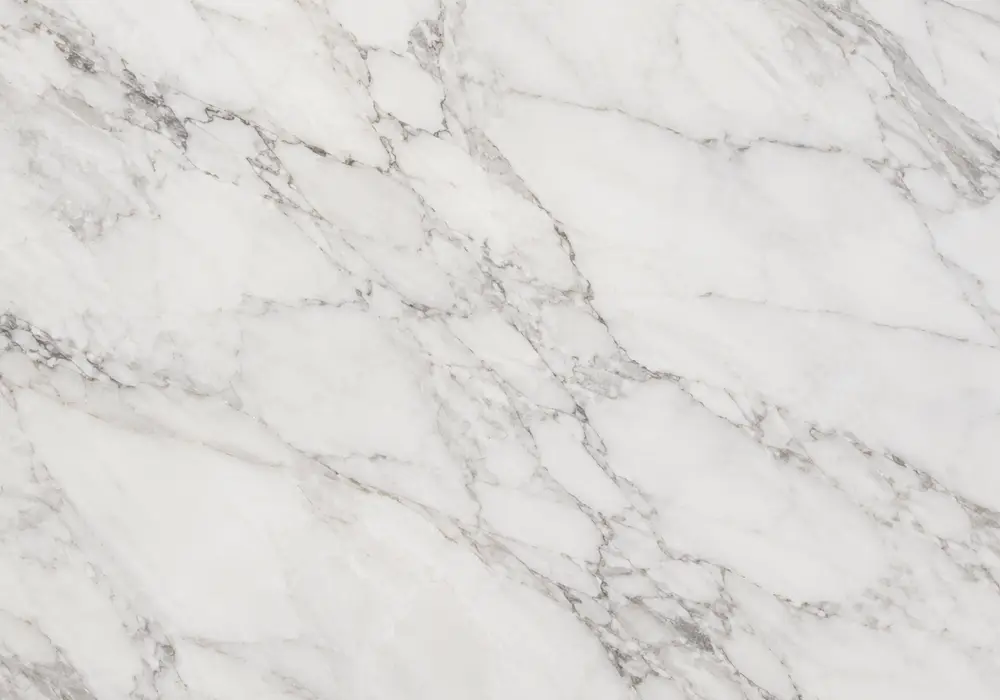 Gris Marquina on polished countertop, vanity and reception desk with graphite-grey stone crossed by irregular white veins.