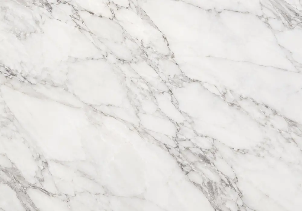 Grey Marquina marble reception wall with smoky graphite stone and contrasting pale linear veining.